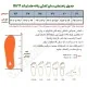 جدول راهنمای سایز کفش زنانه هامتو مدل 8611-1