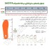 جدول راهنمای سایز کفش ساقدار مردانه هامتو مدل 260317A-1