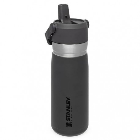 ماگ سفری استنلی مدل Flip Straw Water Bottle 0.65L رنگ خاکستری
