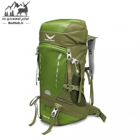 کوله پشتی کوهنوردی 40 لیتری اسنوهاک مدل tibet کد SN5441 رنگ سبز